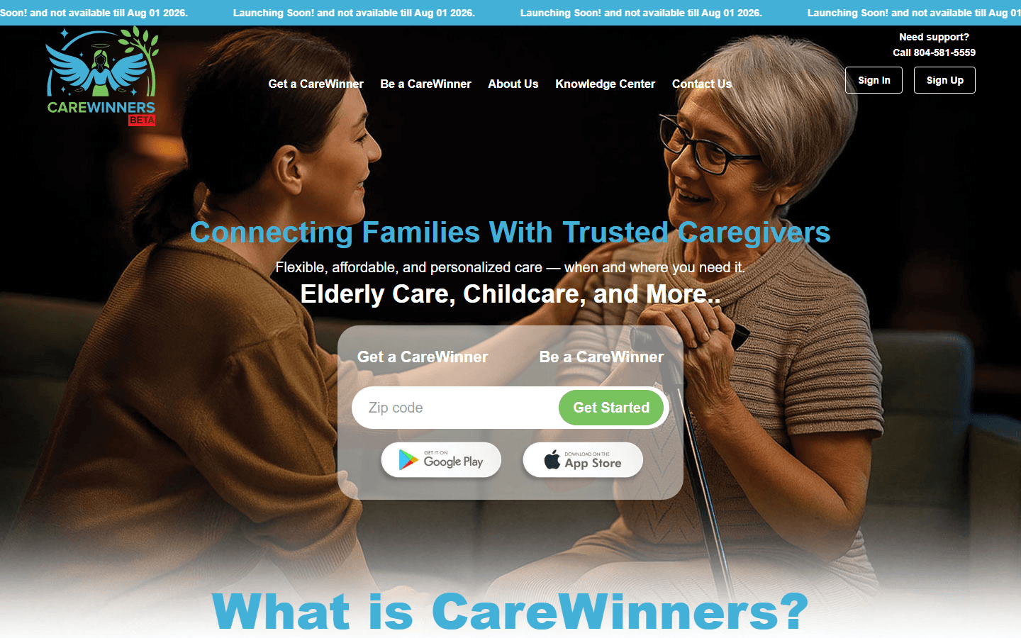 CareWinners website homepage